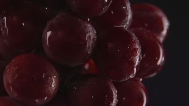 Raisins rouges avec gouttes d'eau. Plan macro Studio — Video