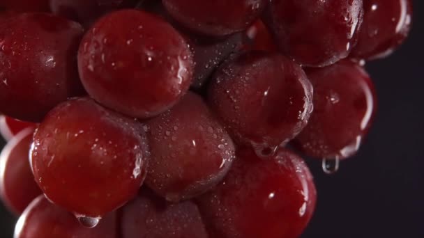 Uvas rojas con gotas de agua. Estudio macro shot — Vídeos de Stock