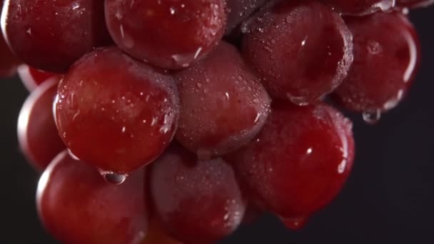 Uvas vermelhas com gotas de água. Estúdio macro tiro — Vídeo de Stock