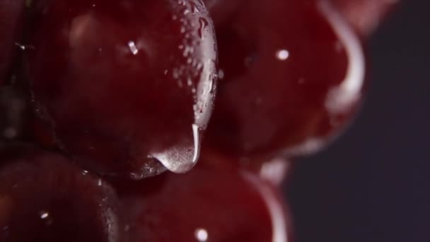 Uvas vermelhas com gotas de água. Estúdio macro tiro — Vídeo de Stock