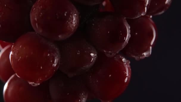Красный виноград с капельками воды. Макро-снимок студии — стоковое видео