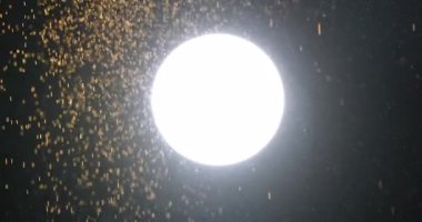 Parlak bir çember ışık yayarken altın parçacıklar zarafetle karanlığa doğru yüzerler. Yavaş çekim.