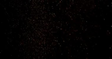 Küçük toz parçacıkları dumanlı havada rastgele uçar, nesneler için boş bir uzay şablonu. Altın tozunun birçok parçacığı ilgi odağı olan boş bir siyah zıt zemine düşer. Yavaş çekim.