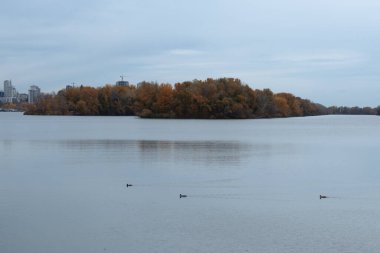 Sonbahar ağaçları ve uzak şehir binalarıyla sakin, bulutlu bir gökyüzünün altında huzurlu göl manzarası..