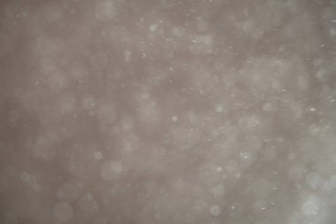 Beyaz parçacıklar ya da kar taneleri hareket bulanıklığı etkisi olan hafif yumuşak bir arkaplana çapraz düşerler.