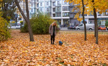 Bir kadın köpeğini canlı sonbahar yapraklarıyla kaplı bir şehir parkında yürütür. Arka planda şehir binaları vardır..