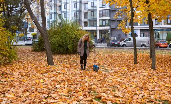 Bir kadın köpeğini canlı sonbahar yapraklarıyla kaplı bir şehir parkında yürütür. Arka planda şehir binaları vardır..
