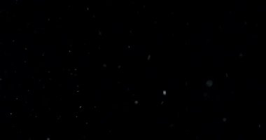 Dumanlı havada rastgele uçuşan küçük toz bulutu, nesne reklamları için boş uzay şablonu. Düşük ışıkta beyaz toz parçacıkları boş siyah kontrastlı zemin üzerinde, yakın çekim.