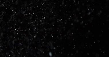 Dumanlı havada rastgele uçuşan küçük toz bulutu, nesne reklamları için boş uzay şablonu. Düşük ışıkta beyaz toz parçacıkları boş siyah kontrastlı arka planda, yakın çekim.