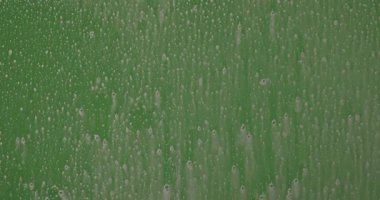 Bir sprey şişesinden sprey temizleme sıvısını cama sıkmak ve yeşil cam yüzeydeki yoğunlaşmayı silmek. Su damlacıkları ve nem sisli pencerede kalır. Yavaş çekim.