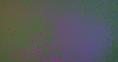 Bir el sprey şişesinden spreyler ve cam yüzeyden köpük damlacıkları yeşil arka plana doğru siler. Su damlacıkları ve köpük neon mor ışıkla aydınlatılır. Yavaş çekim.