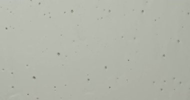 Beyaz sabun köpüğü düşük ışıkta şeffaf bir cam yüzeyden aşağı akar ve soyut dikey çizgiler oluşturur. Yavaş çekim.