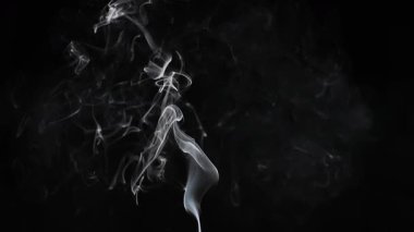 Karanlık bir arkaplanda zarif bir şekilde kıvrılarak büyüleyici bir duman gösterisi, ruhani ve gizemli bir atmosfer yaratıyor. Yavaş çekim