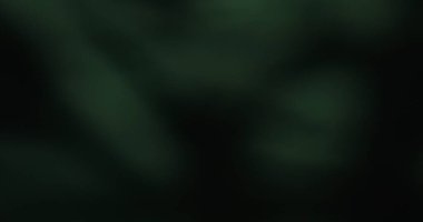 Bulanık yeşil bokeh arka planı yumuşak odak efektiyle rahatlatıcı ve sakinleştirici bir atmosfer yaratıyor..