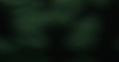 Bulanık yeşil bokeh arkaplan yumuşak odak efektiyle rahatlatıcı ve sakinleştirici bir atmosfer yaratıyor. Yavaş çekim.