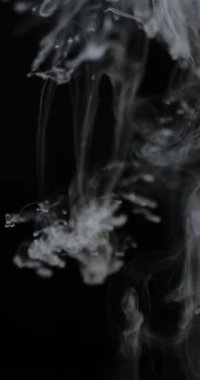 Beyaz dumanın büyüleyici bir görüntüsü siyah bir arkaplana karşı zarafetle yükseliyor ve soyut bir sanat formu yaratıyor. Dikey video.