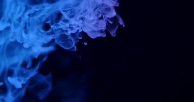 Göksel mavi duman, karanlık bir arkaplanda zarif bir şekilde kıvrılarak gizemli ve atmosferik bir manzara yaratır. Yavaş çekim.