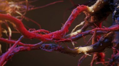 Kırmızı ve mavi ışıkla aydınlatılmış karmaşık bitki köklerinin makro çekimi gerçeküstü bir etki yaratıyor..