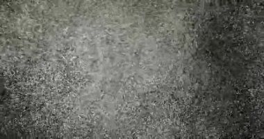 Hafif kar veya toz dumanlı havada rastgele uçuşuyor, nesne reklamları için boş uzay şablonu. Düşük ışıkta beyaz toz bulutu boş siyah kontrast arka planda birçok toz parçacıkları.