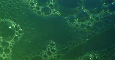 Yumuşak, soyut güzellik arka planında temiz bir kozmetik dokusu yaratmak için çok renkli ışıkla aydınlatılmış, berrak sıvı içinde yüzen yağ kabarcıkları var. Yavaş çekim.