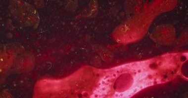 Kırmızı boya boşanmaları, çizgiler ve parçacıkların soyut arkaplanı küçük kabarcıklar halinde sıvıya sarılı, tatsız deneysel bir doku yaratıyor. Yavaş çekim.
