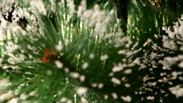 Unusual decoration - a crystalline toy on christmas tree, bokeh, light, black, garland, close up — Stock Video