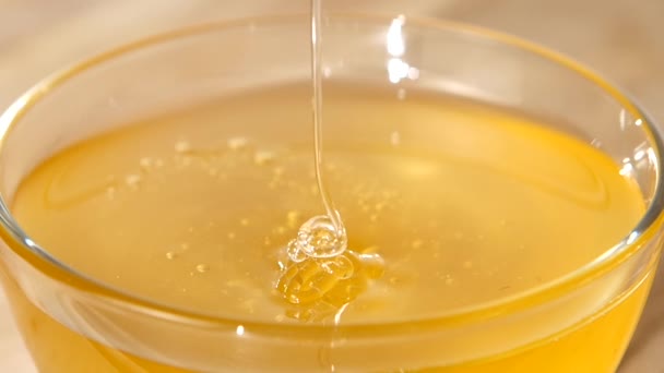 Using spoon for honey in bowl, flowing down, close up, slow motion — Stock Video