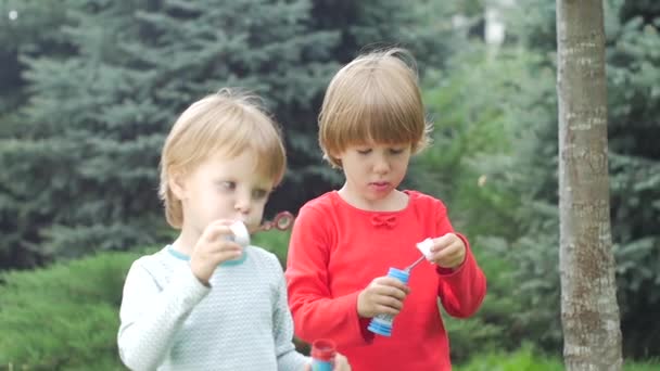 Two sisters are blowing bubbles in the park, Slow motion. Close up — Stock Video