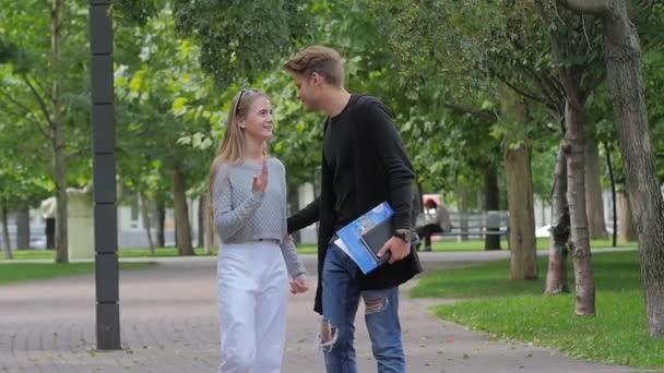 Casal feliz no amor andando juntos de mãos dadas no parque. câmara lenta — Vídeo de Stock