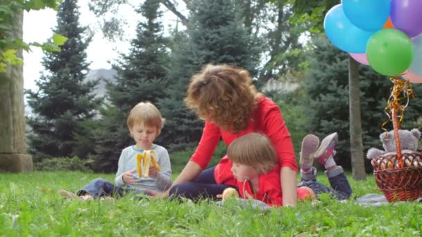 Família fazendo piquenique no parque de verão — Vídeo de Stock