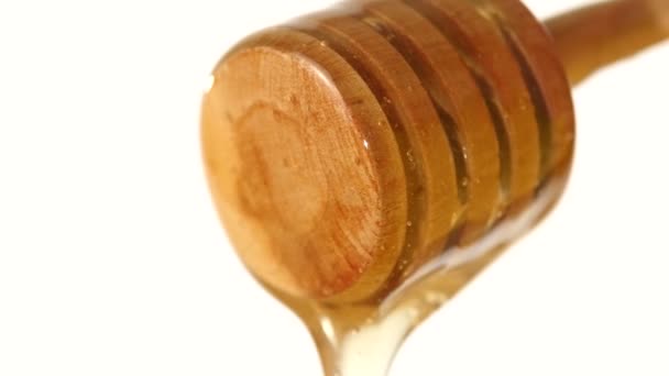 Honey dripping, pick the spoon up, on white — Stock Video