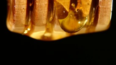 Kalın bal damlayan ve aşağı akan, siyah, bir damla kapat