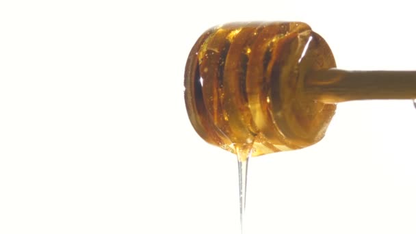 Miel goteando de una cuchara de madera, sobre blanco, sombra — Vídeo de stock