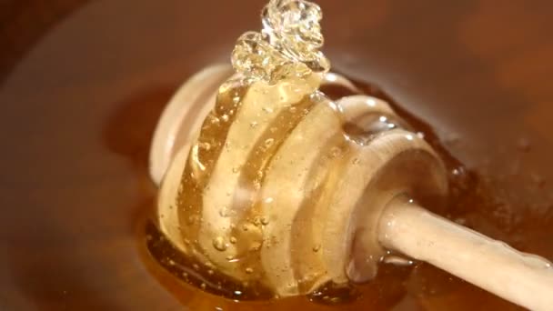 Cuenco con miel y cuchara, fluyendo hacia abajo — Vídeos de Stock