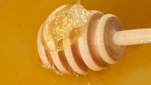 Glass bowl with honey and spoon, flowing down — Stock Video