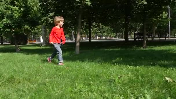 Pequeña chica hermosa fuera en la naturaleza en un día de verano. Movimiento lento — Vídeo de stock