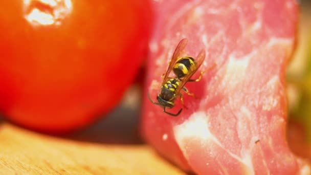 Een Wasp eet een deel van kip of varkensvlees voor barbecue op snijplank, close-up — Stockvideo