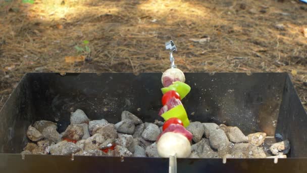 Les gens servent des brochettes de kebabs, barbecue mis sur brasero — Video