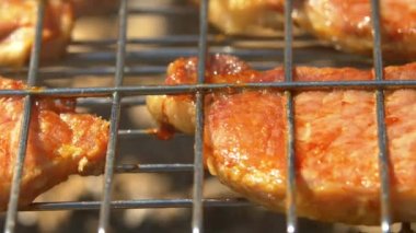 Kömürler üzerinde ızgara sulu domuz biftek Dilimleri, brazier, makro