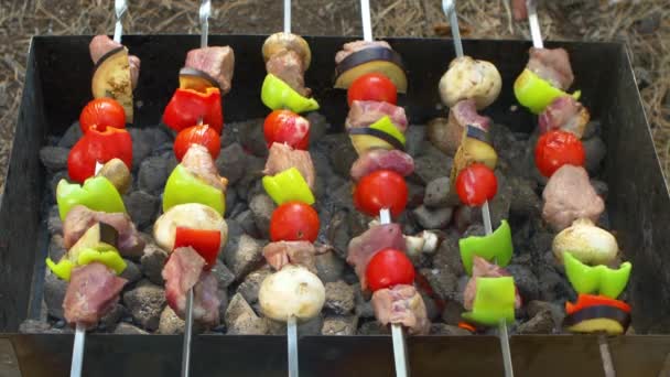 Uomo gira spiedi kebab, barbecue messo su braciere — Video Stock