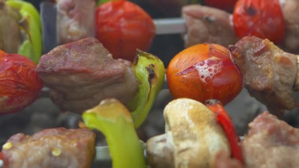 Tomaat wordt gebakken op spiesjes kebabs, barbecue, Vuurkorf — Stockvideo