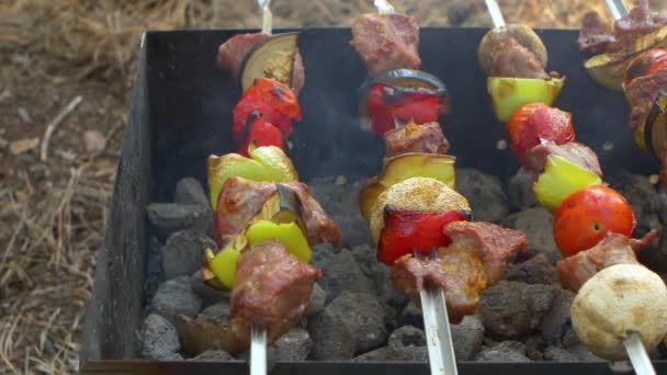 Kebap veya barbekü brazier ile Şişler, cam sağa hareket, sürgü — Stok video