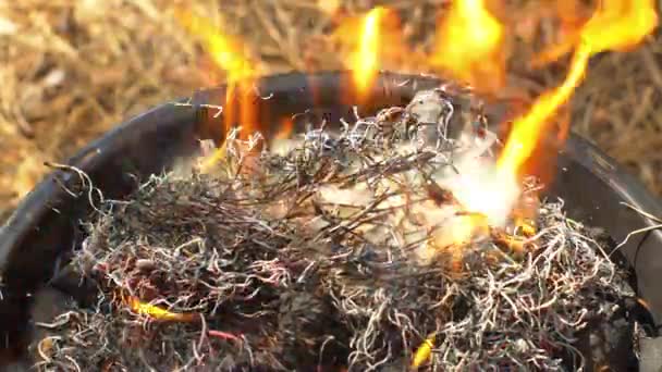 Grillflamme, heiß brennender Grill, im Freien, Beginn der — Stockvideo