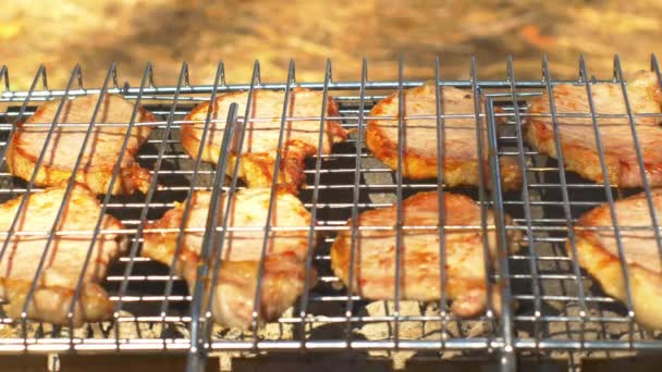 Bifes de porco grelhados sobre carvão, no braseiro, vista lateral — Vídeo de Stock