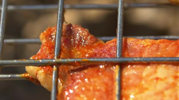 Una rebanada de jugosos filetes de cerdo sobre carbones, a la parrilla, en el brasero, macro — Vídeos de Stock