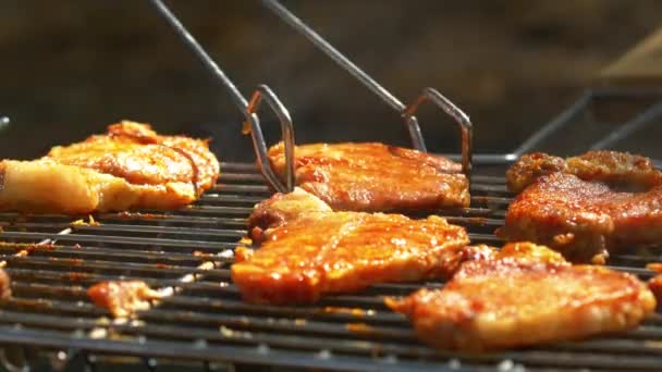 Bistecche di maiale alla griglia su fiamme e carboni, sul braciere, fango e girare, primo piano, vista laterale — Video Stock