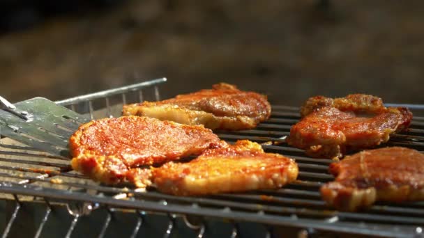 Bifes de porco grelhados sobre chamas e brasas, no braseiro, tirando por lâmina, close-up, vista lateral — Vídeo de Stock