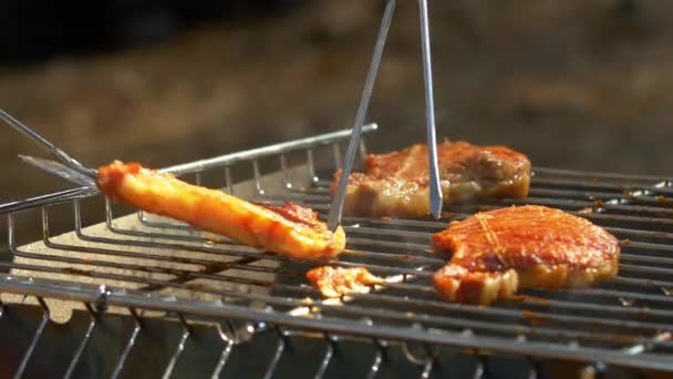 Bifes de porco grelhados sobre chamas e brasas, no braseiro, tirando por lâmina, garfo — Vídeo de Stock