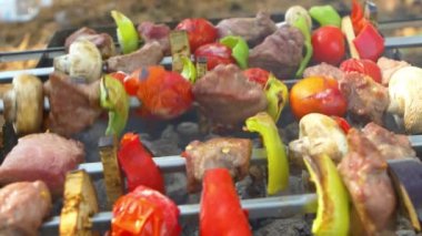 Tavuk, domuz eti ve ızgara barbekü için çeşitli sebzeler, etrafında dönen, yakın