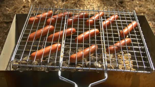 Barbecue salsicce rosolate sulla griglia calda, girare e mettere su braciere — Video Stock